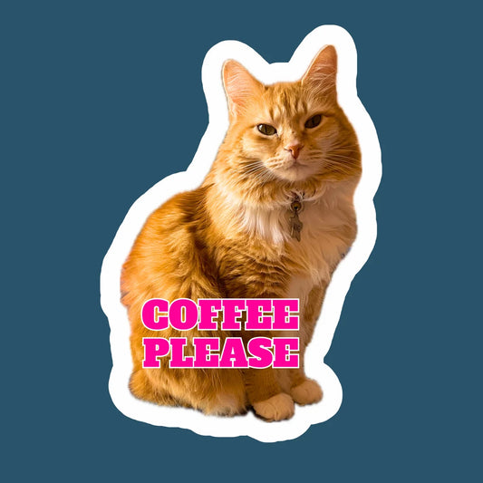 Cute Cat Sticker for Laptop, Water Bottle, Phone with text “Coffee Please" Handmade Glossy Vinyl Sticker Decal Water Resistant