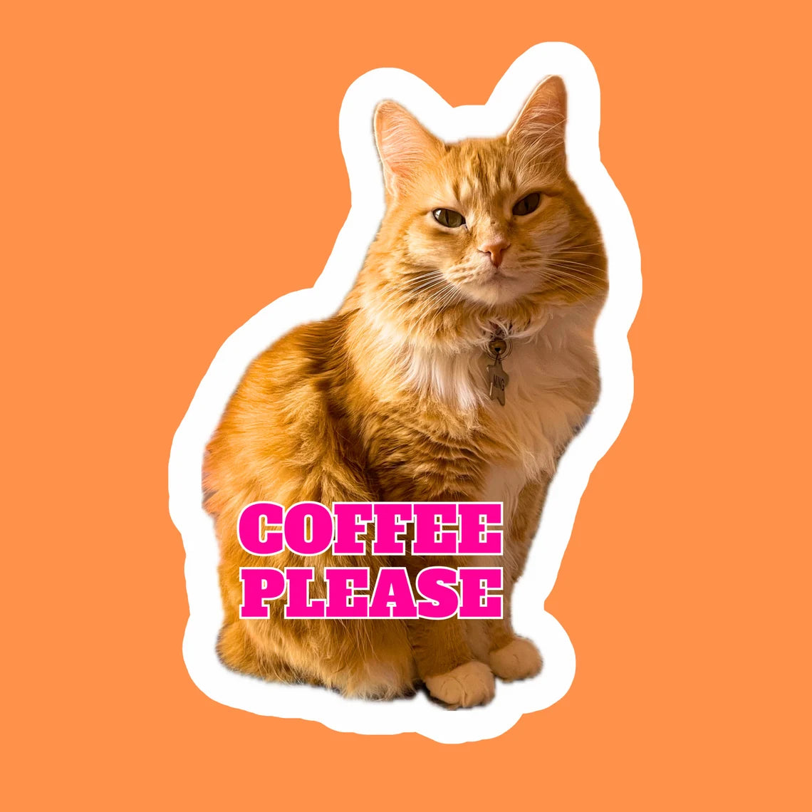 Cute Cat Sticker for Laptop, Water Bottle, Phone with text “Coffee Please" Handmade Glossy Vinyl Sticker Decal Water Resistant