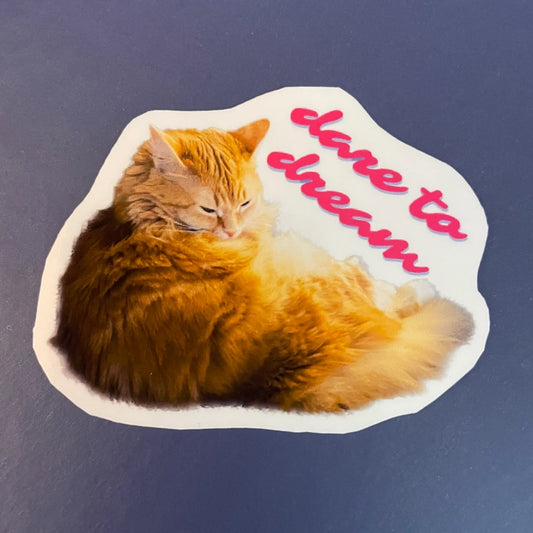 Schattige kattensticker voor laptop, waterfles, telefoon met tekst "Dare to Dream" Handgemaakte glanzende vinyl sticker Decal waterbestendig