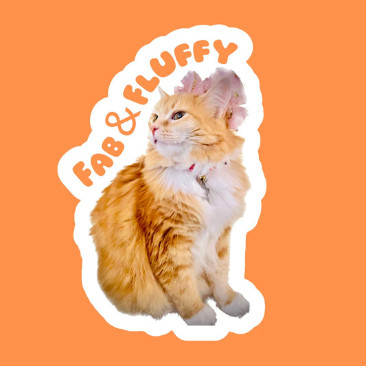 Fluffy Cat-sticker voor laptop, waterfles, telefoon - "Fab &amp; Fluffy" oranje kat waterbestendige gelamineerde sticker