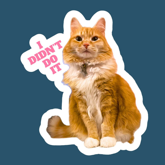 Grappige kattensticker "Ik heb het niet gedaan" voor laptop, waterfles, telefoon