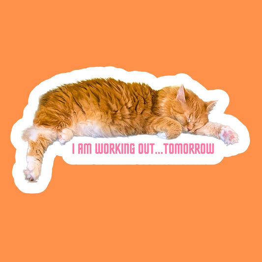 Cute Cat Sticker for Laptop, Water Bottle, Phone with text “I am working out tomorrow” Handmade Glossy Vinyl Sticker Decal Water Resistant