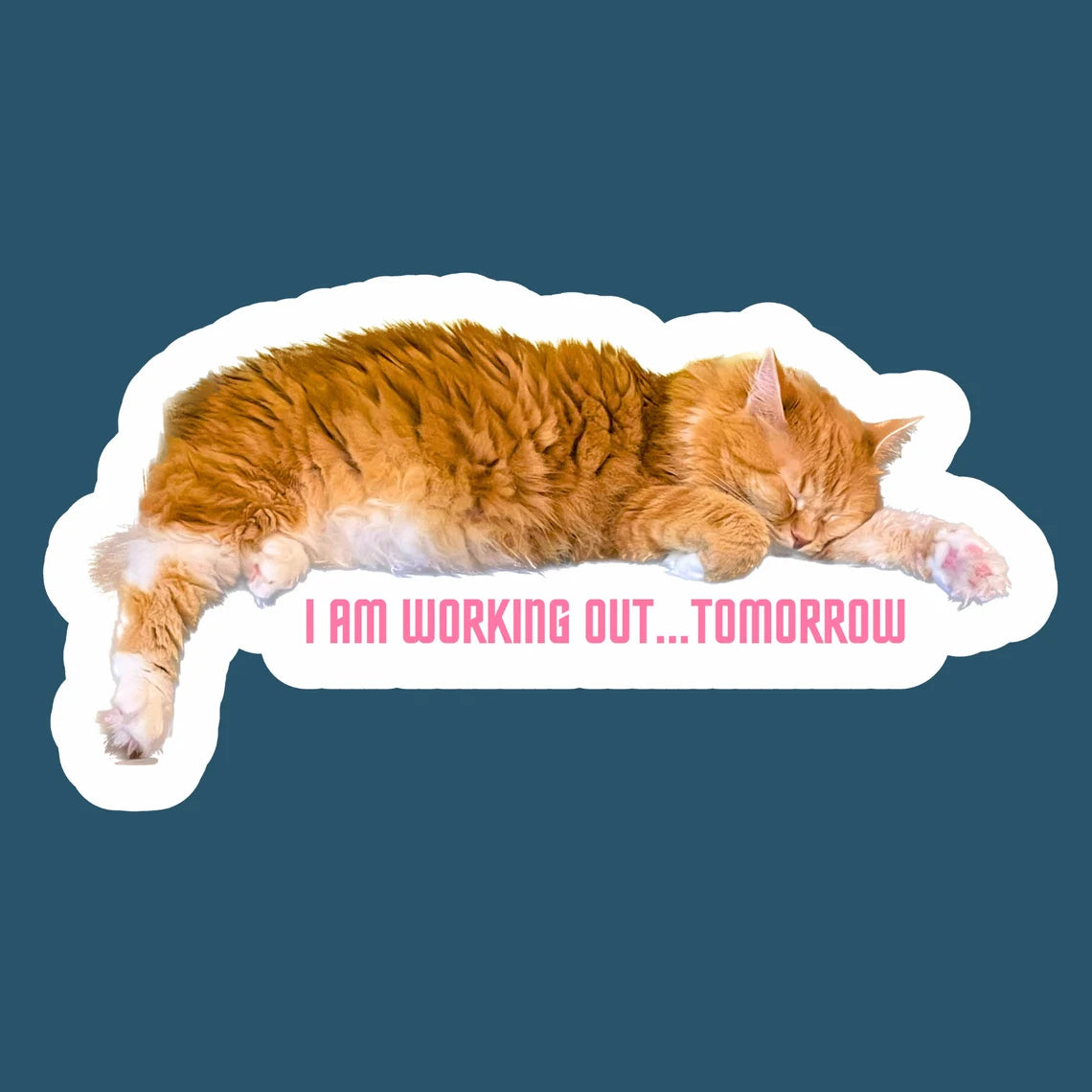 Schattige kattensticker voor laptop, waterfles, telefoon met de tekst "Ik ga morgen sporten" Handgemaakte glanzende vinylsticker Decal Waterbestendig