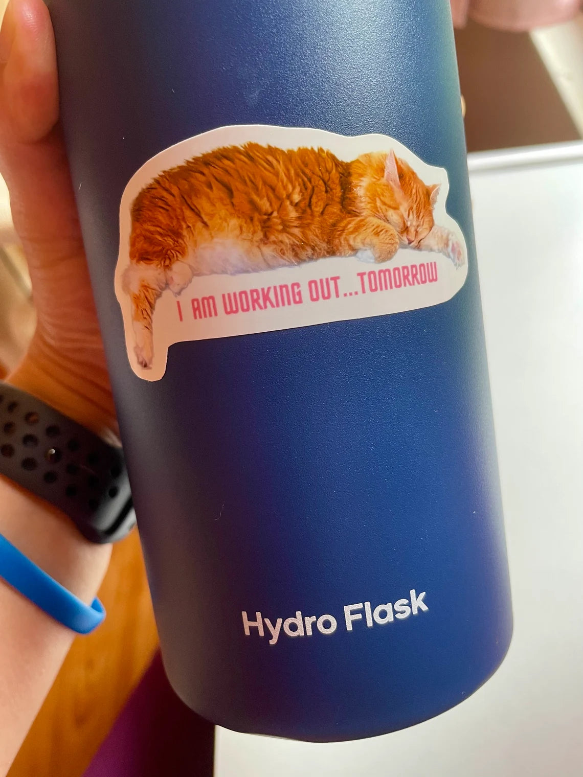 Schattige kattensticker voor laptop, waterfles, telefoon met de tekst "Ik ga morgen sporten" Handgemaakte glanzende vinylsticker Decal Waterbestendig