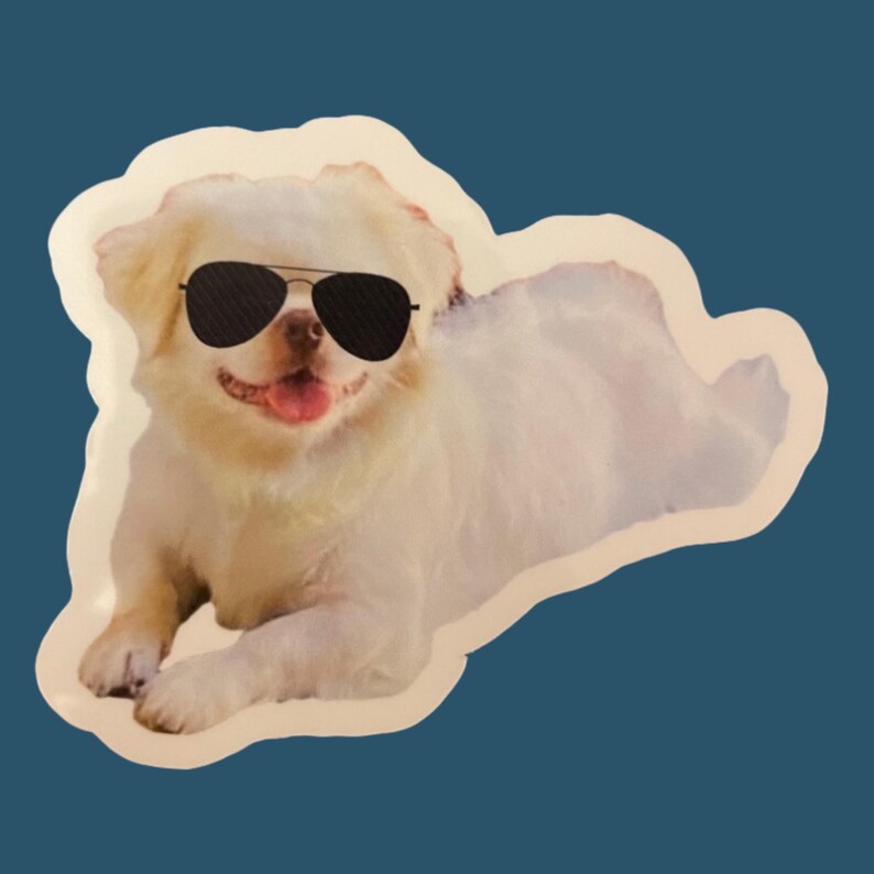 White Pekingese Dog with Glasses Sticker Laptop Decal