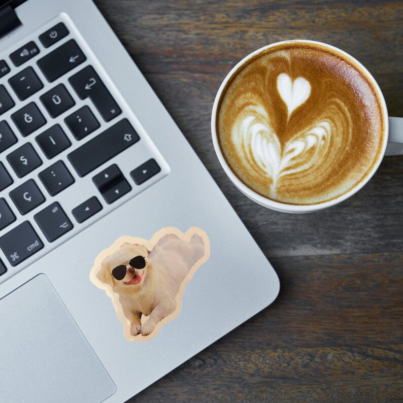 White Pekingese Dog with Glasses Sticker Laptop Decal